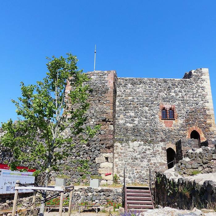 Photo de Château de Calmont